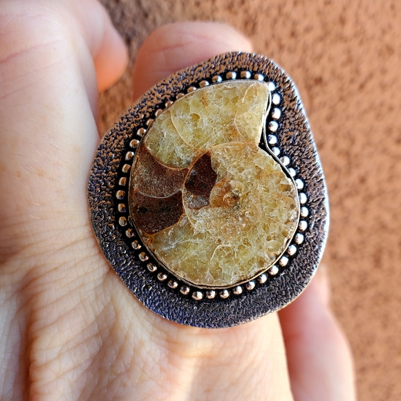 New Unique Oversized Ammonite 925 Silver Ring. - Picture 13 of 13